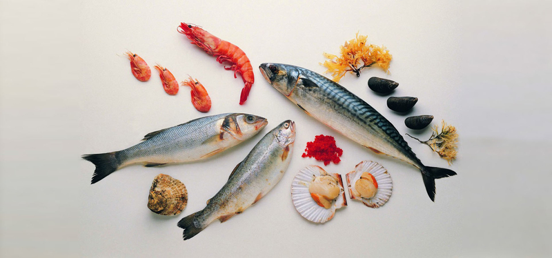 美食肉类海鲜鱼虾贝壳食品食物美味淘宝背景
