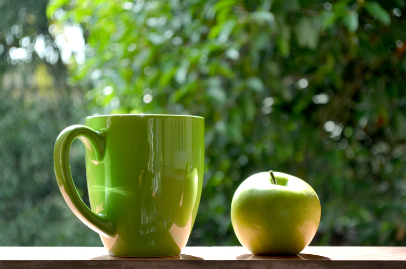 杯子 苹果 森林 摄影