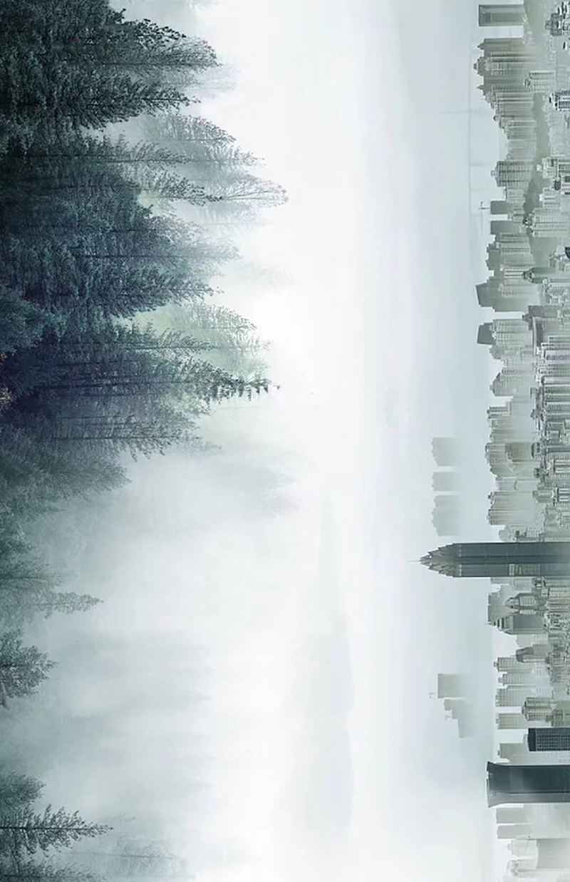 森林与城市之间
