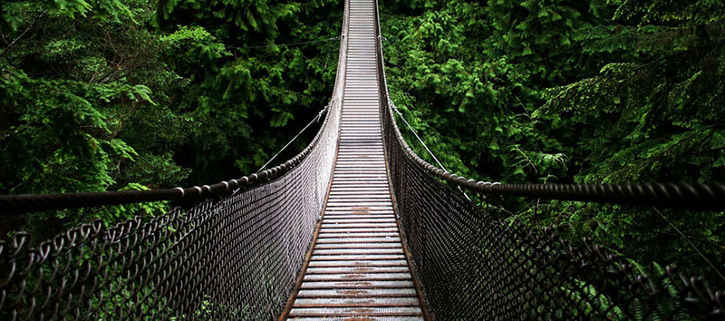 吊桥铁索森林背景