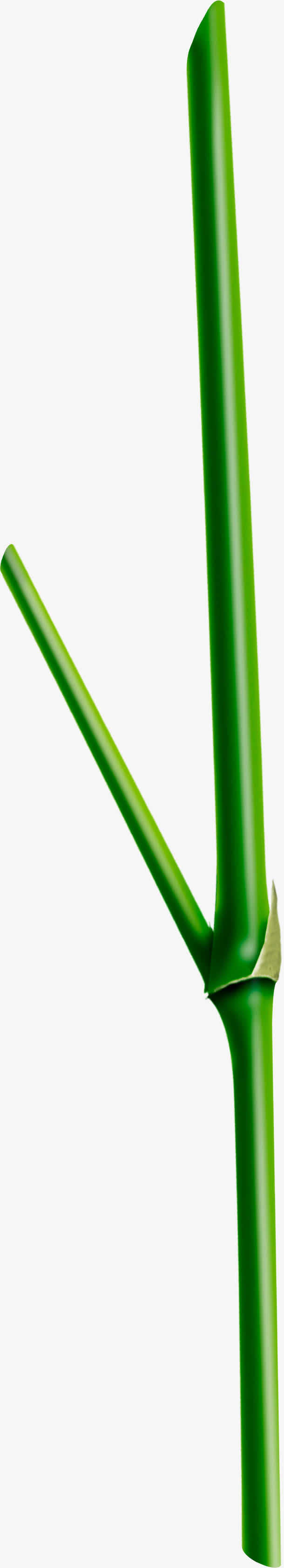 立体翠绿竹筒