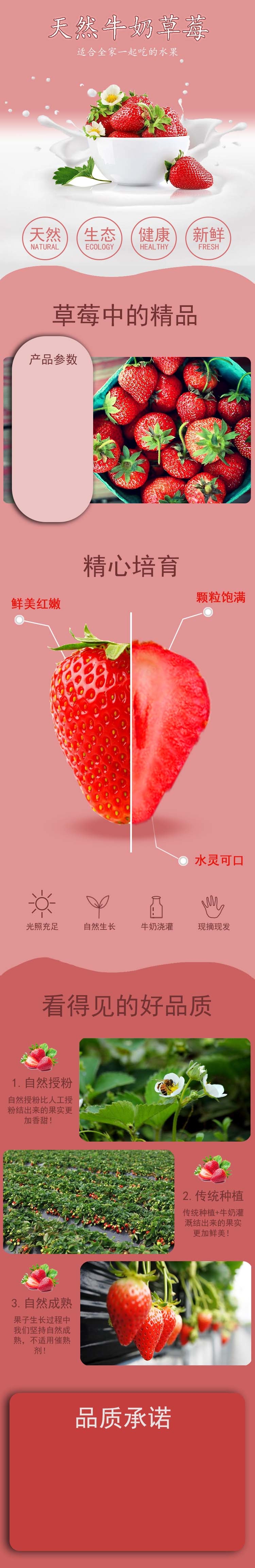 牛奶草莓详情页