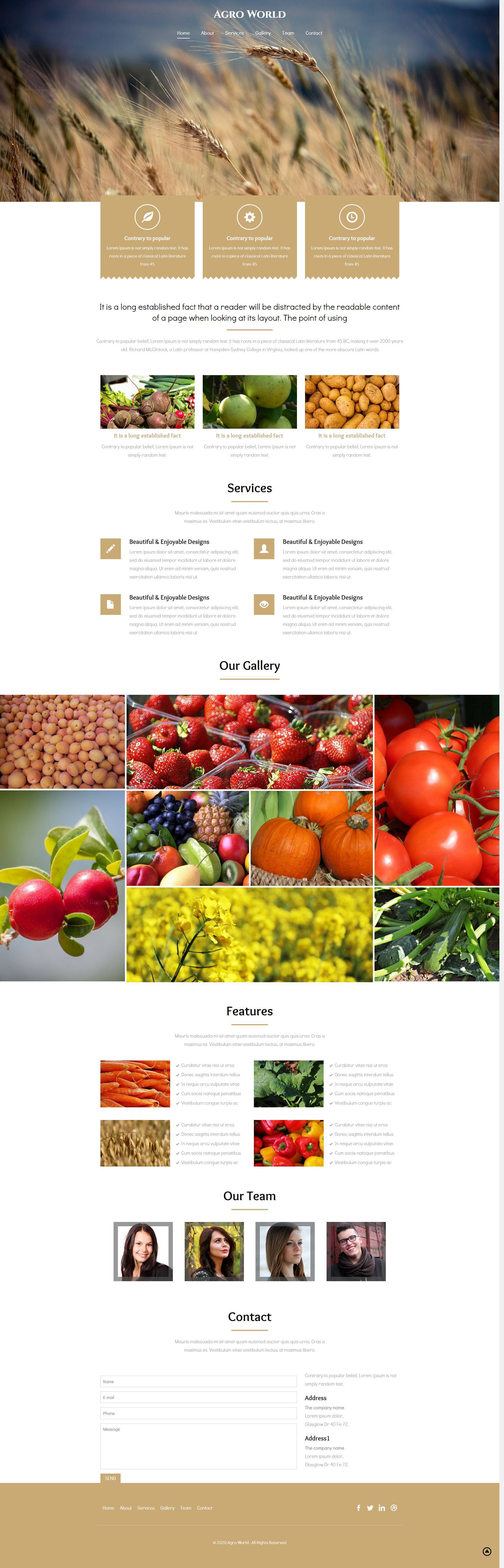 金色现代HTML5农业种植网站模板