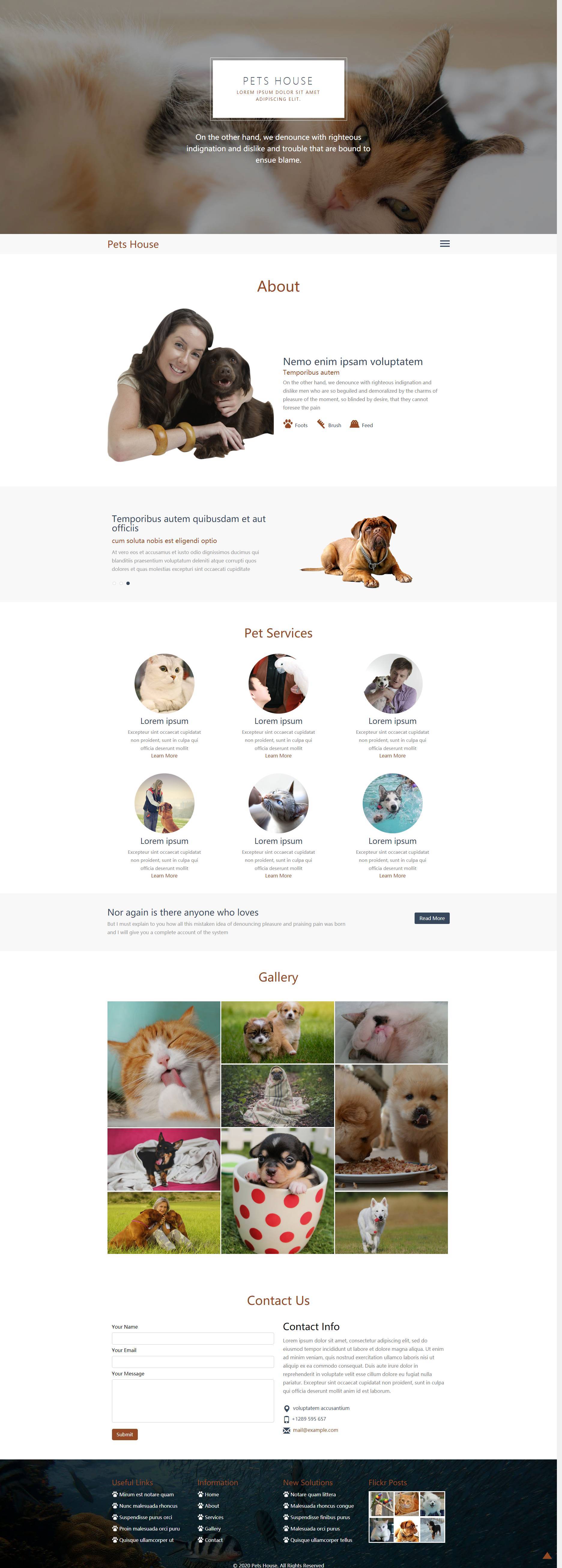 精美的宠物服务机构响应式网站模板