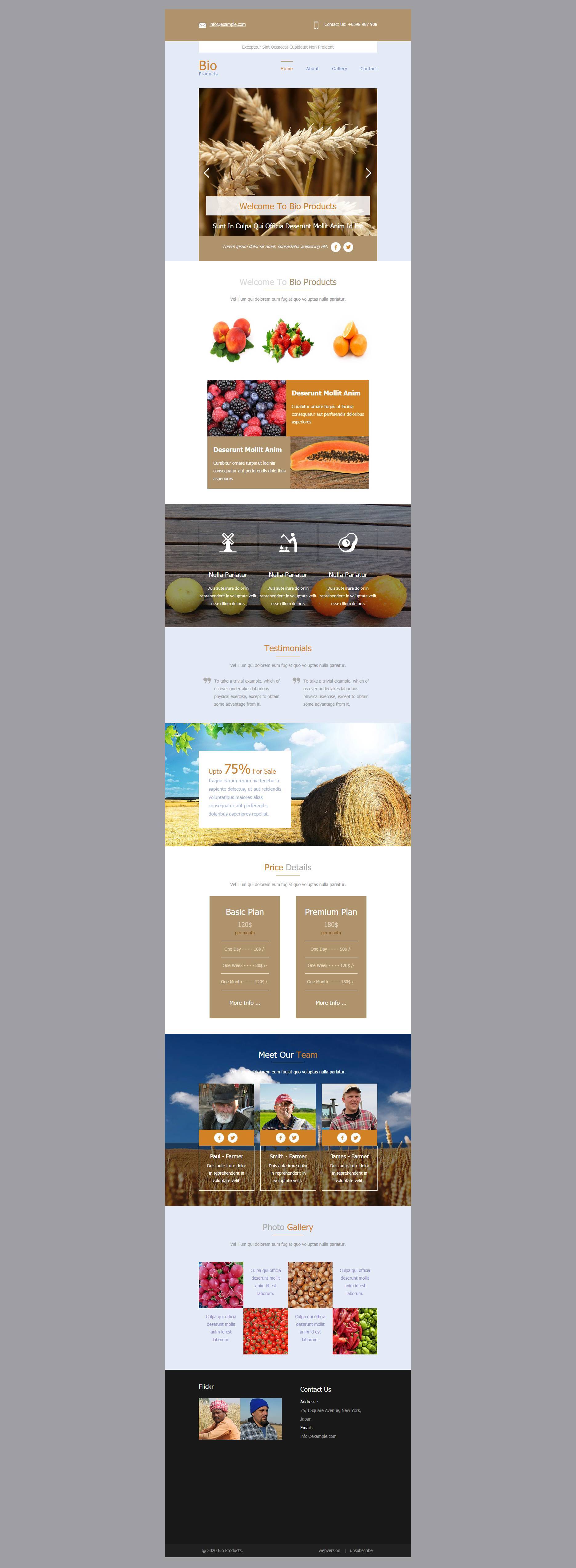 香槟色农业信息门户网页html模板