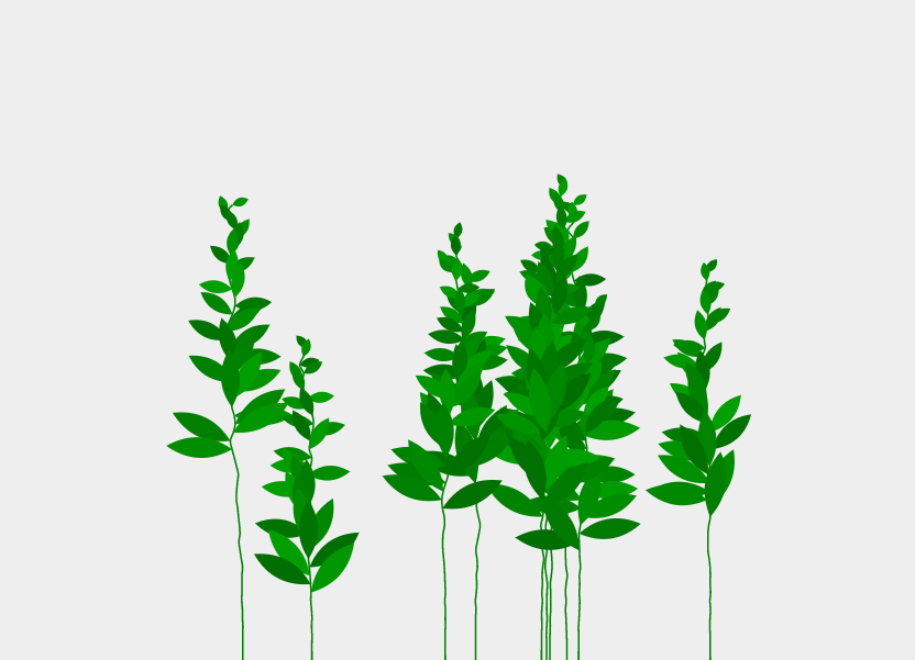 svg植物生长过程网页动画