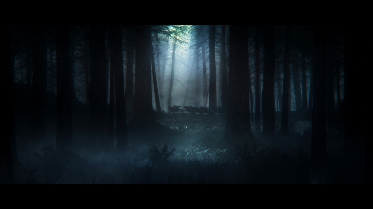 艾尔登法环 夜晚 森林 游戏风景4k壁纸