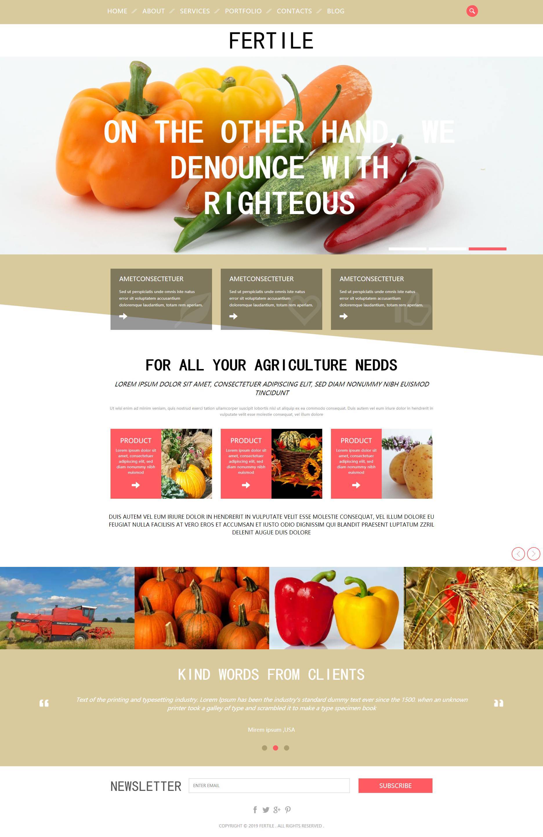 精美的有机食物果蔬网站模板html