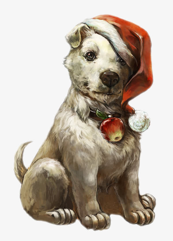 戴着圣诞帽的狗