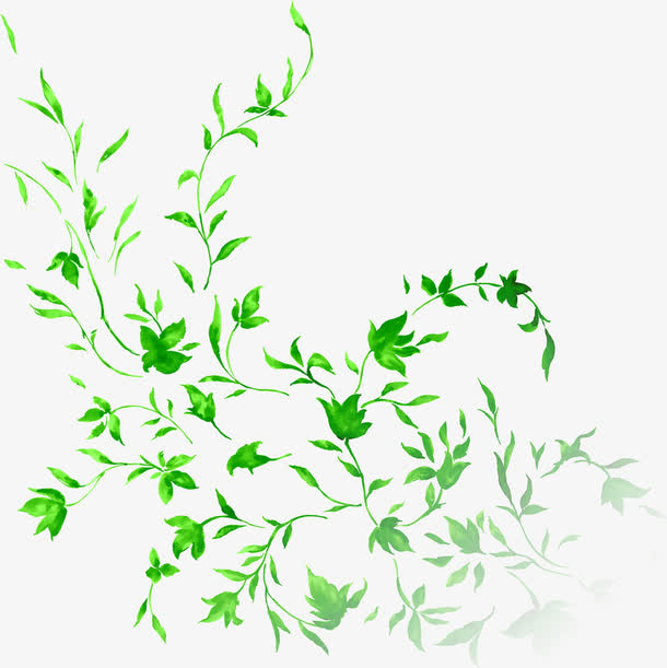 绿色艺术花藤手绘树叶