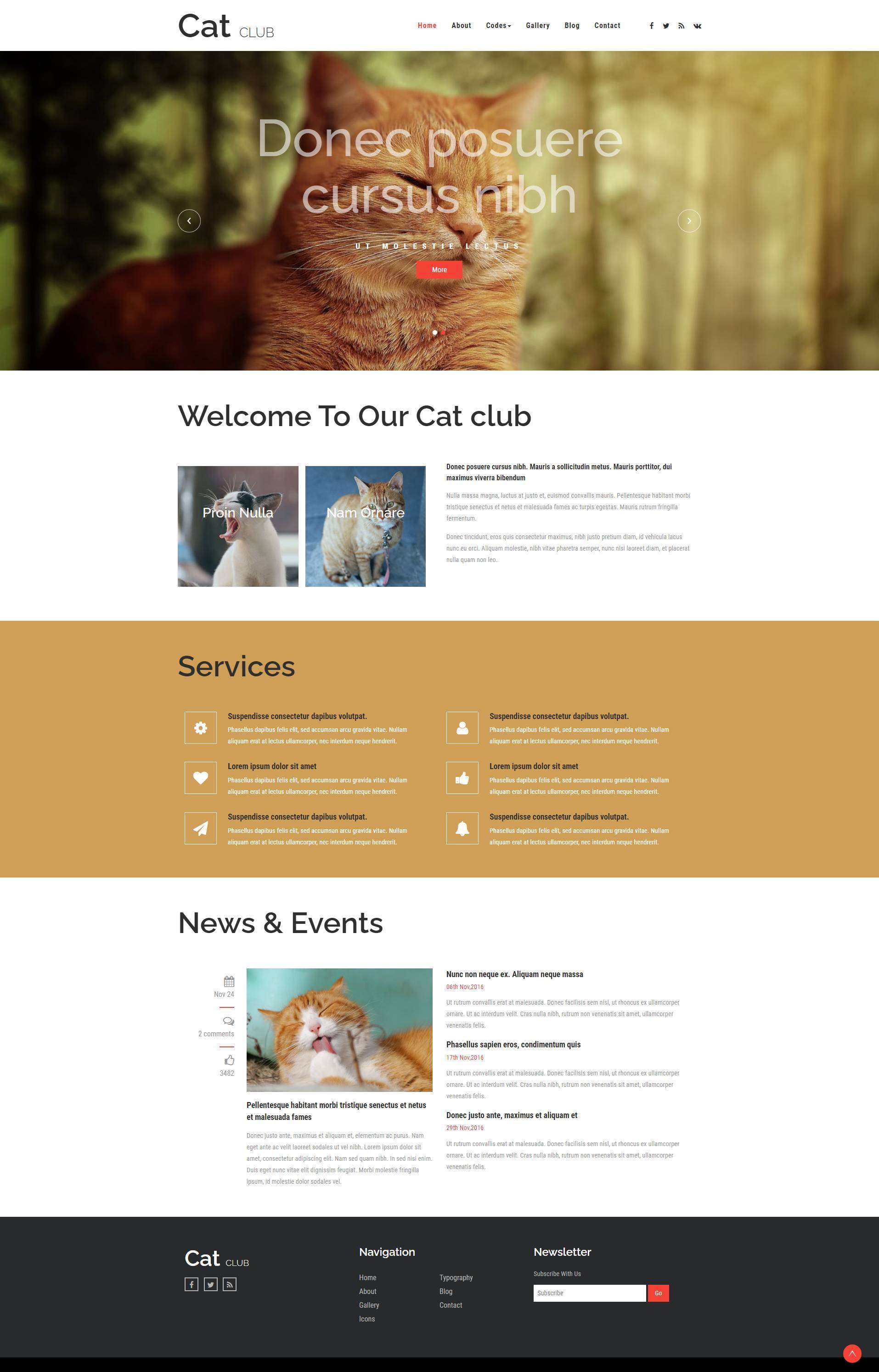 HTML宠物猫俱乐部响应式网站模板