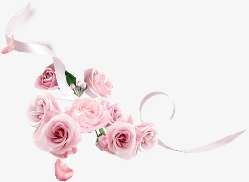 丝带白色玫瑰花