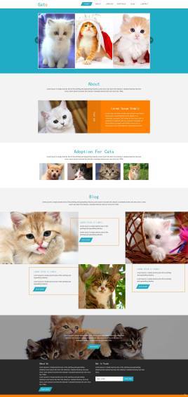清爽的HTML宠物猫买卖交易网站模板