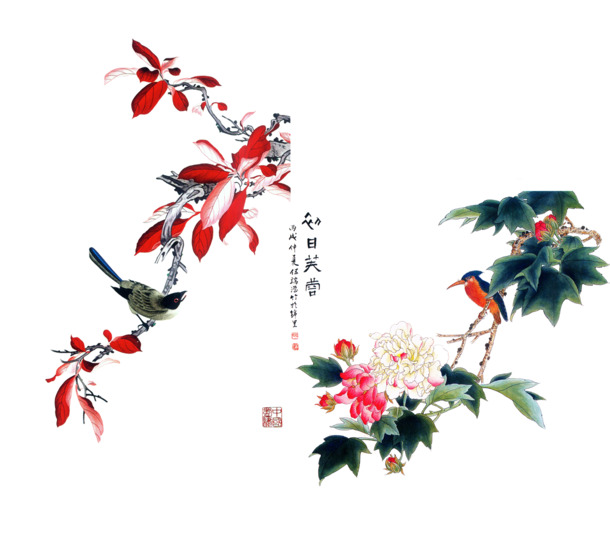 芙蓉花开PNG免抠图，高清透明装饰花纹，设计素材一键下载