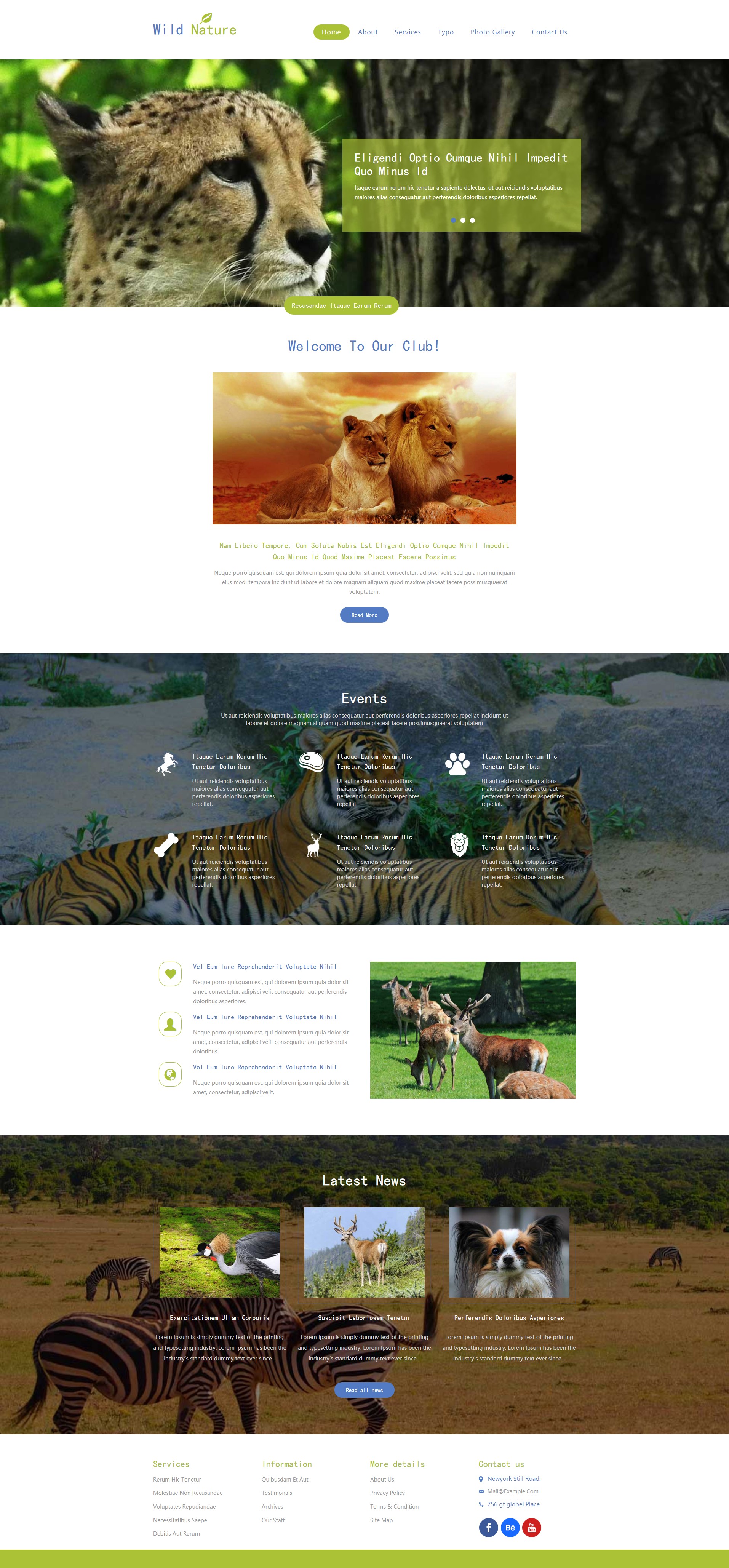 漂亮的HTML5动物园网站模板