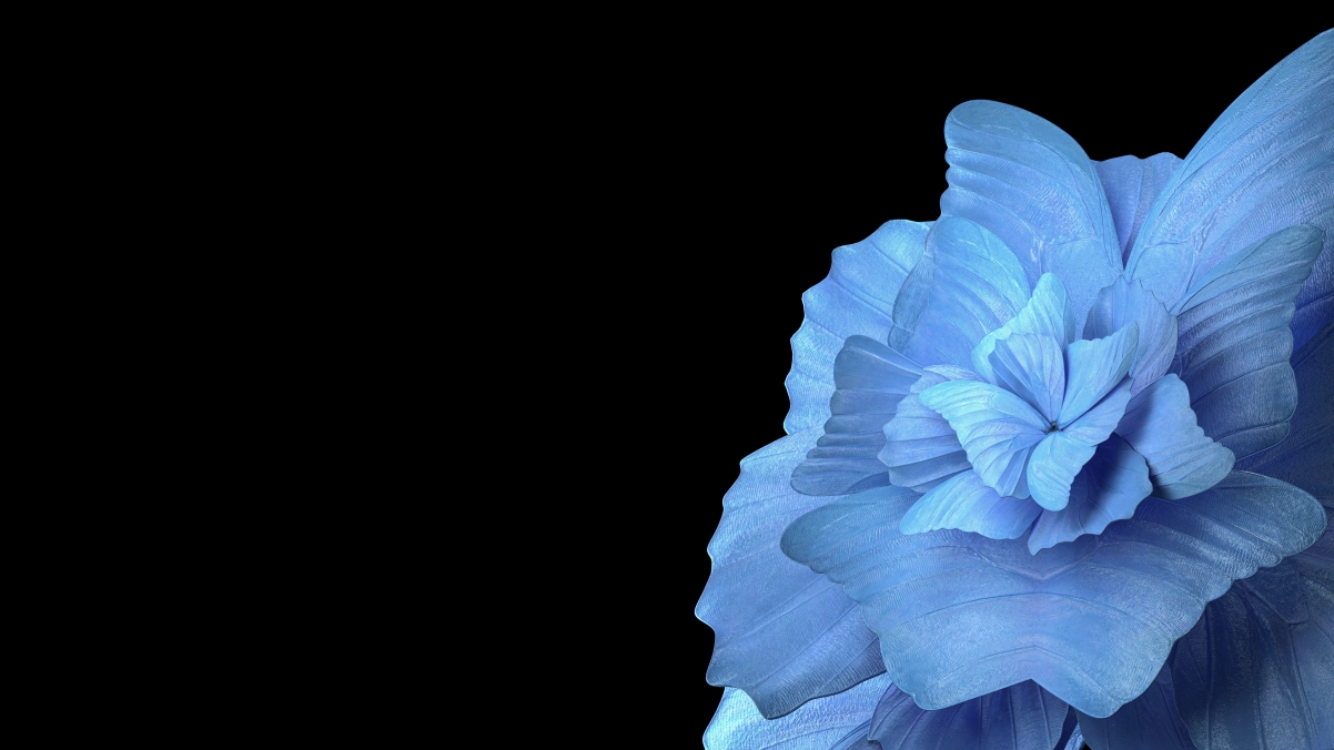 vivo Pad平板电脑4k电脑壁纸3840x2160 蓝色花瓣