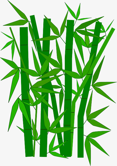 卡通竹子植物矢量图2