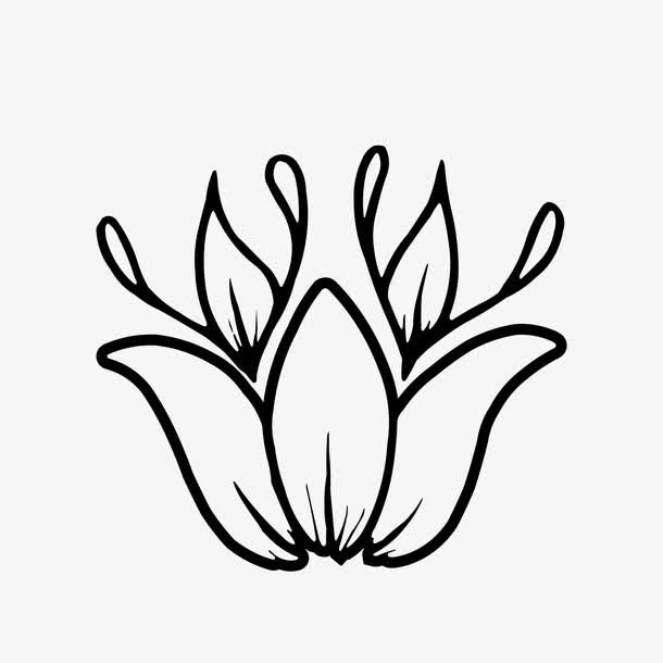 黑白装饰手绘花卉
