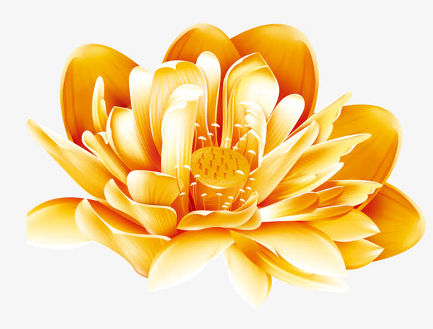 黄金莲花花卉背景手绘