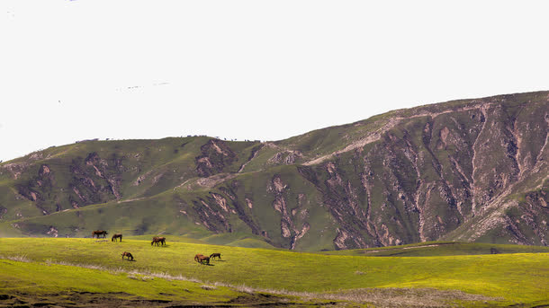 新疆伊犁优美风景