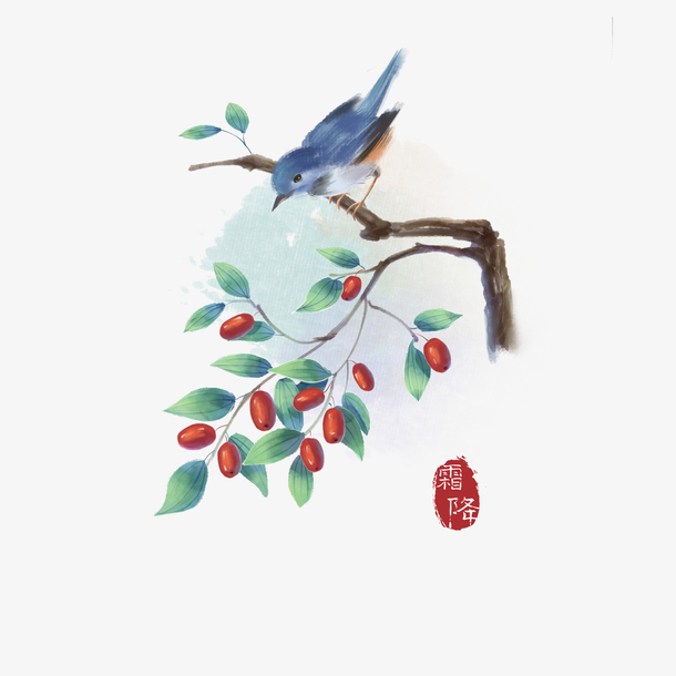 手绘喜鹊红枣树