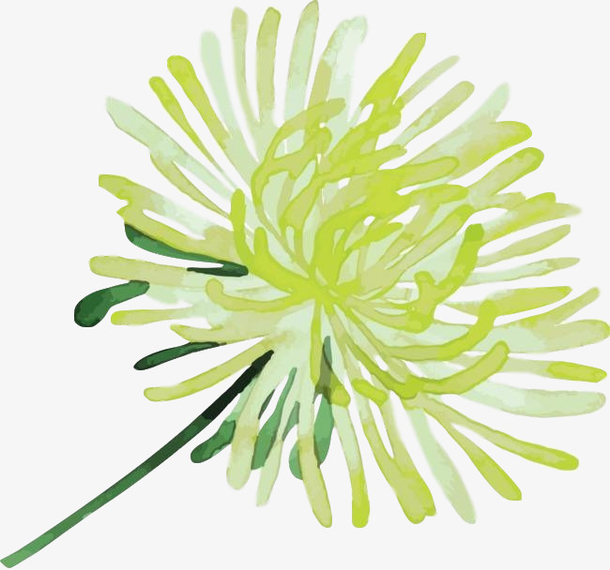 国潮绿色菊花PNG素材，中国风植物装饰元素，高清透明图片，免费下载