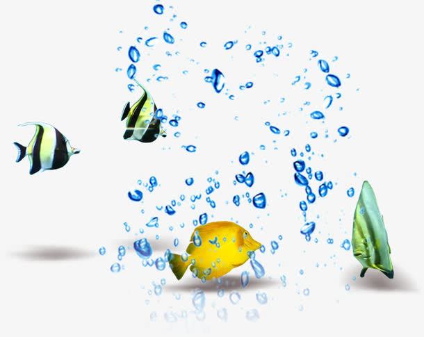 夏季热带鱼水花广告设计