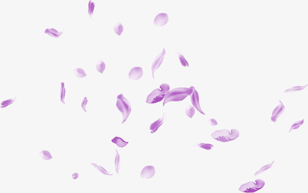 紫色的花瓣合成形状