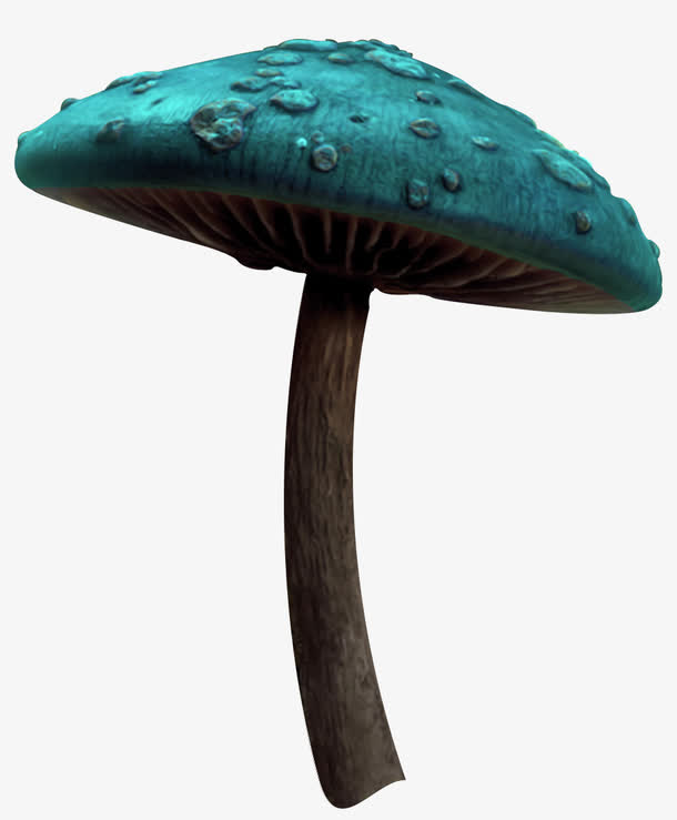 气氛魔幻场景 蘑菇
