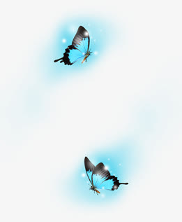 蓝色蝴蝶效果图