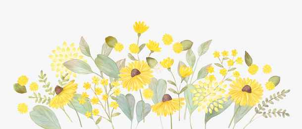 黄色花素材-花边素材