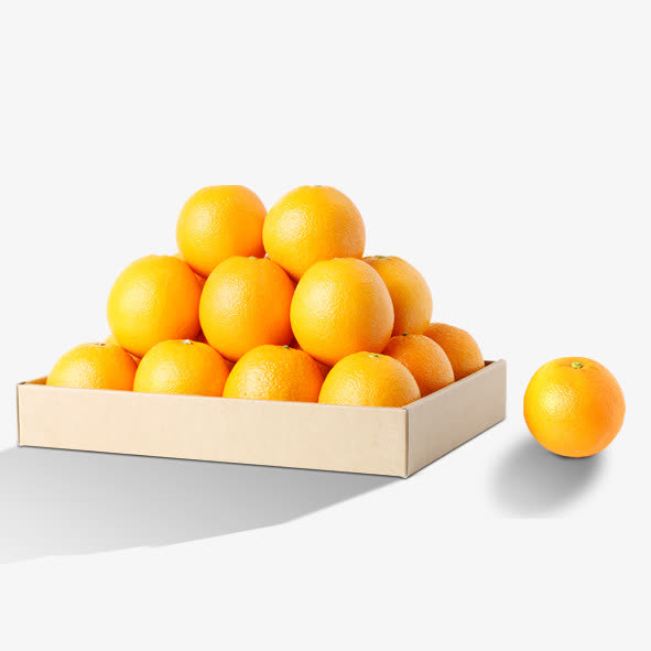 黄色橙子