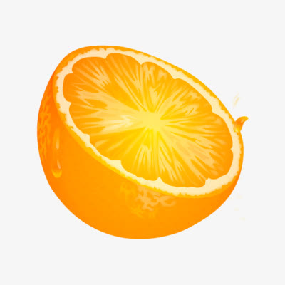 矢量手绘橘子
