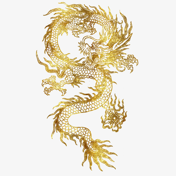 中国传统神话金色龙图案，高清PNG免抠透明素材，精美花纹装饰元素下载