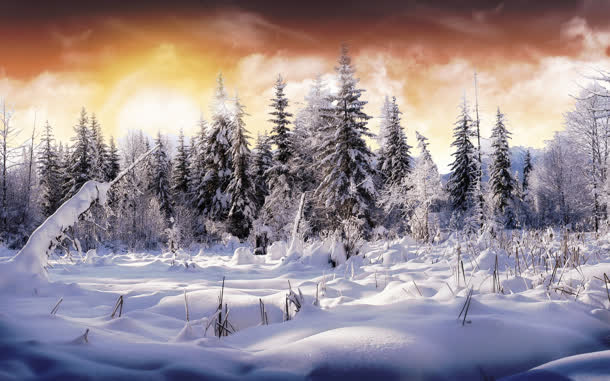 晚霞中的林海雪原海报背景