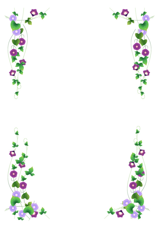 牵牛花枝条边框PNG透明图片，高清装饰元素与边框设计素材下载
