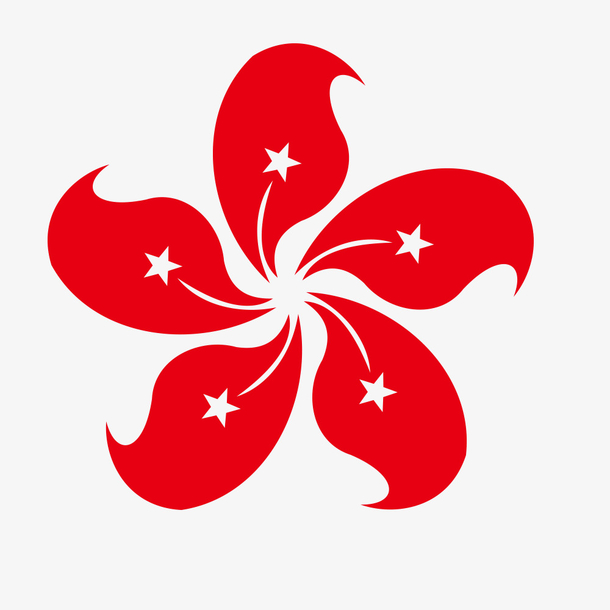 红色的香港代表花