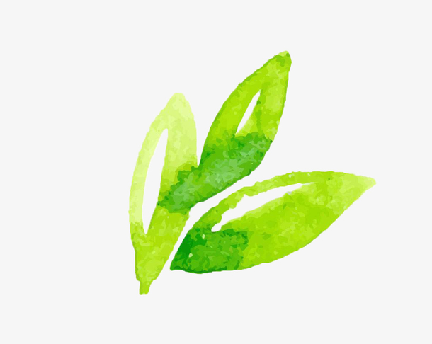 环保水彩小绿叶茶叶