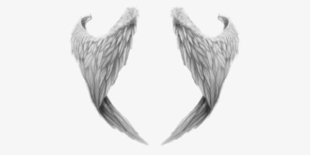 灰色的天使翅膀