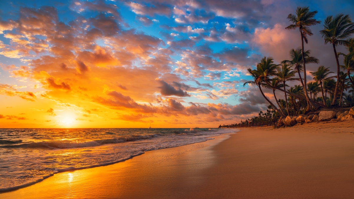 海边 夕阳 黄昏 海滩 沙滩 椰树风景4k壁纸