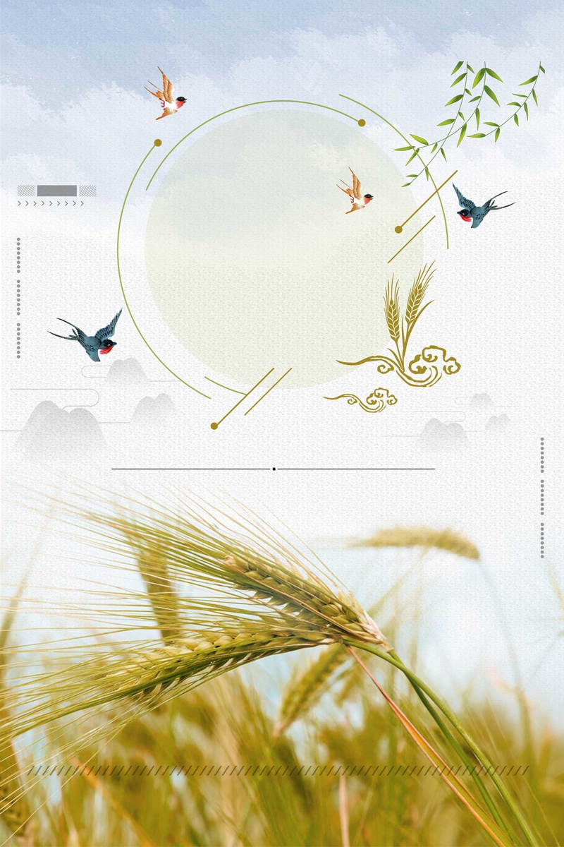 五谷杂粮丰收稻米小麦海报背景