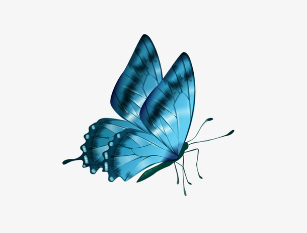 蓝色卡通手绘小蝴蝶