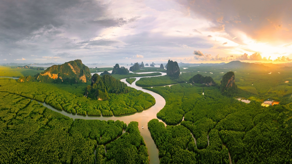 泰国攀牙湾安达曼海的红树林4k风景壁纸