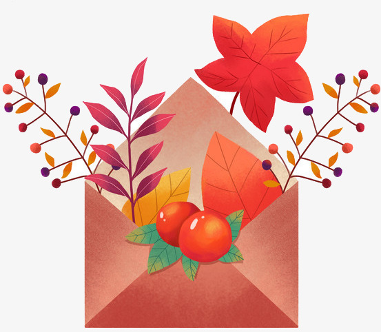 秋天里的信封与植物