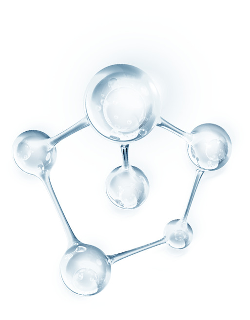 分子 元素 基因 多肽