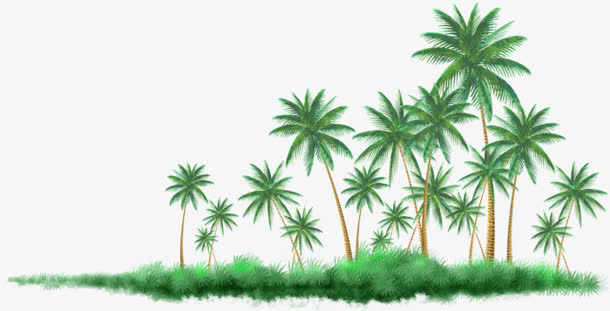 热带植物 椰子树