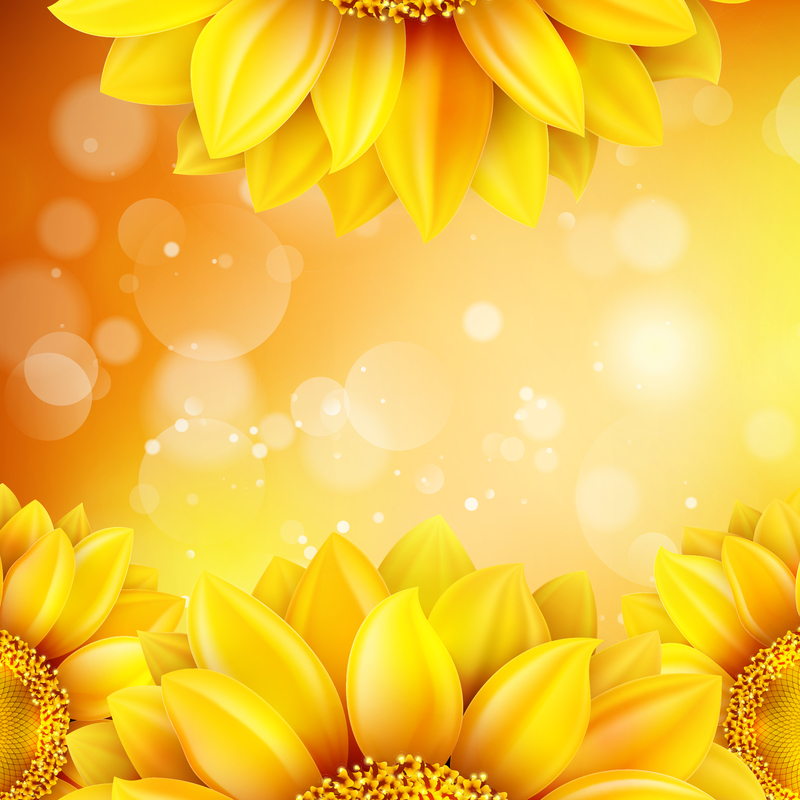 黄色向日葵植物花朵光斑背景素材
