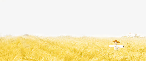 金黄色稻草背景