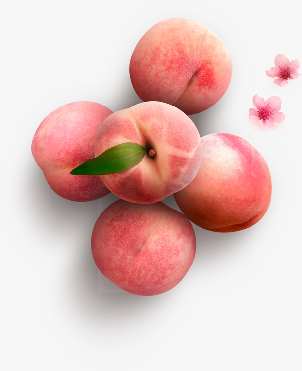 水果白花桃子
