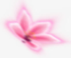 粉色花朵小清新卡通PNG透明图片素材，高清漂浮元素，免费下载